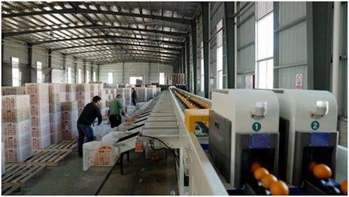 中國減貧四十年 研究報(bào)告 中國超5 就業(yè)崗位來自電商